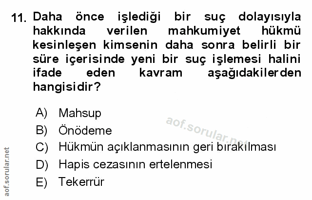 Soru 11