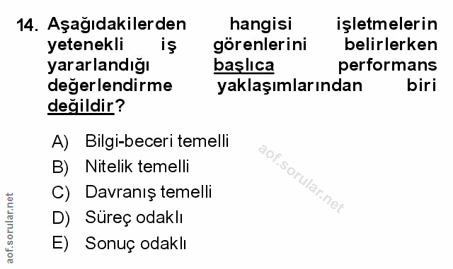 Soru 14