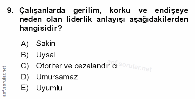 Soru 9