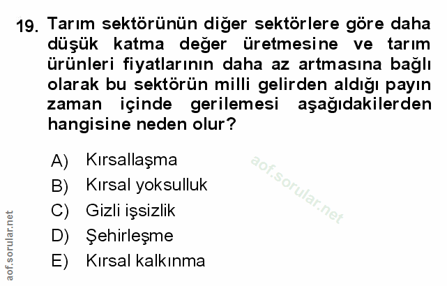 Soru 19
