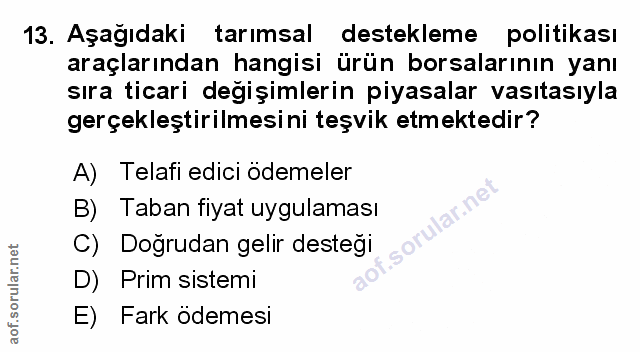 Soru 13