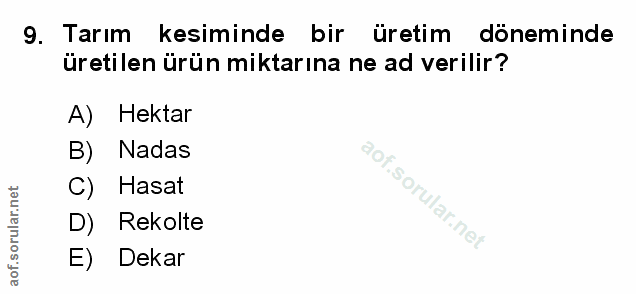 Soru 9