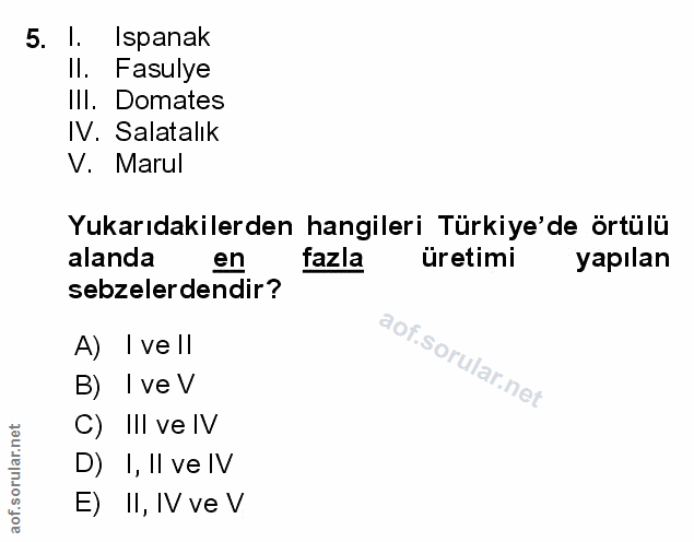 Soru 5