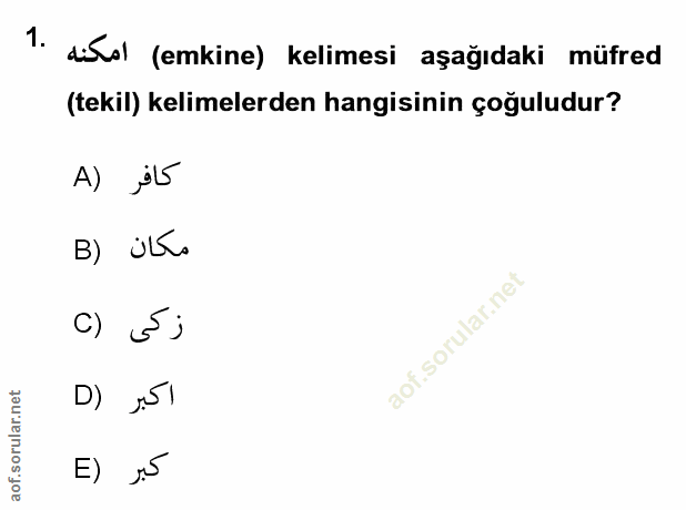 Soru 1