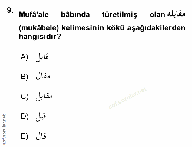 Soru 9