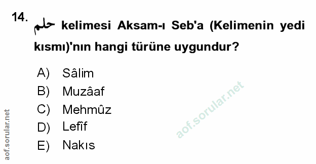 Soru 14