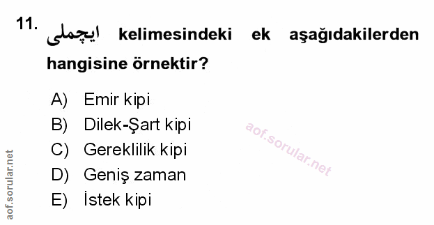 Soru 11