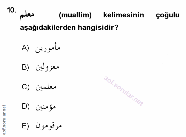 Soru 10