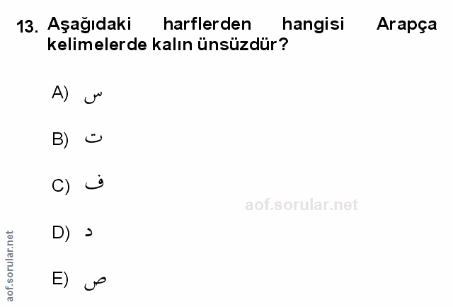 Soru 13