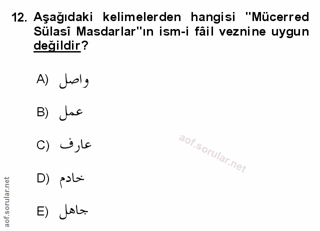 Soru 12