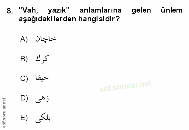 Soru 8