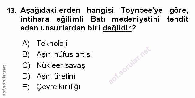 Soru 13
