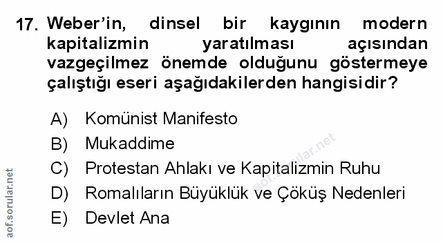 Soru 17