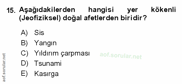 Soru 15