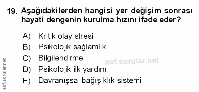 Soru 19