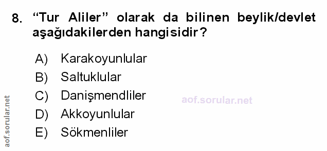 Soru 8