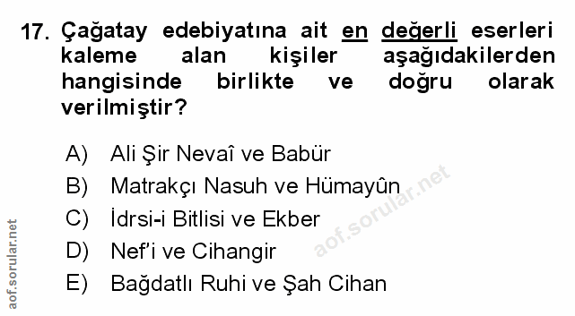 Soru 17