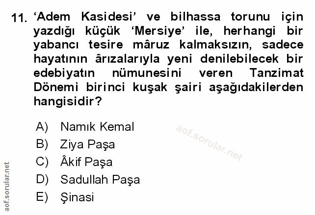 Soru 11