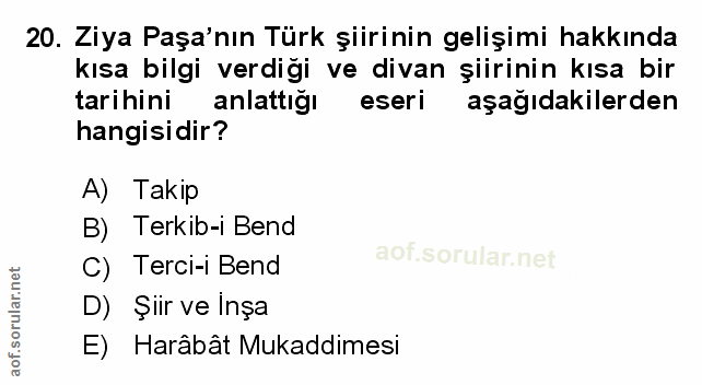 Soru 20