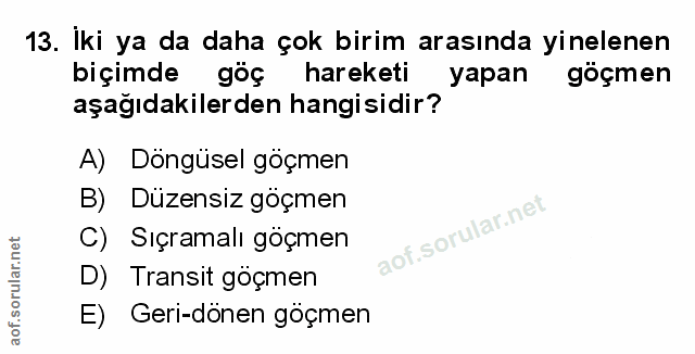 Soru 13