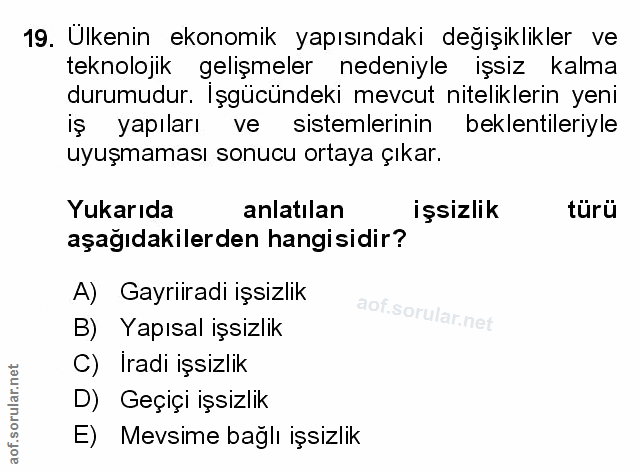 Soru 19