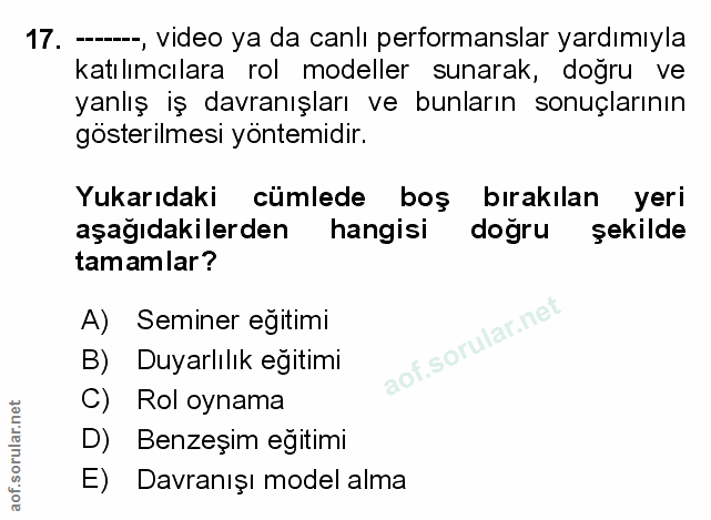 Soru 17