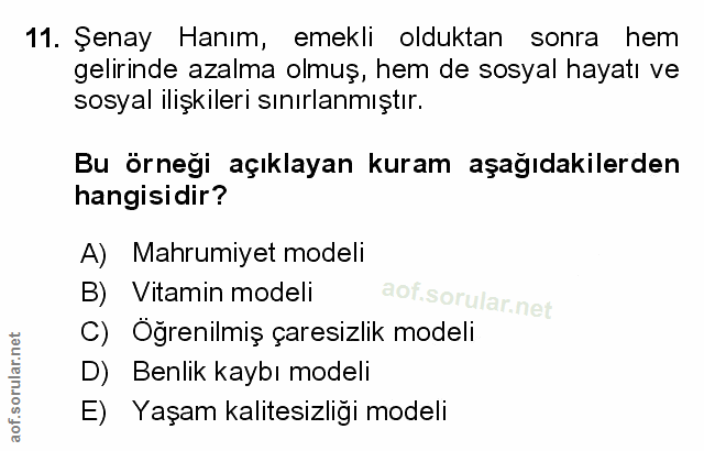 Soru 11
