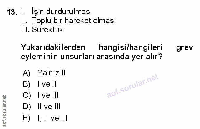 Soru 13