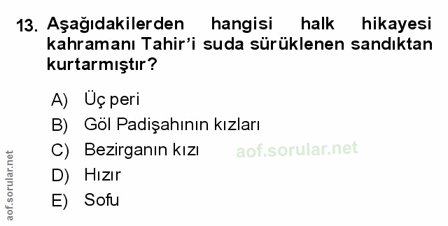 Soru 13
