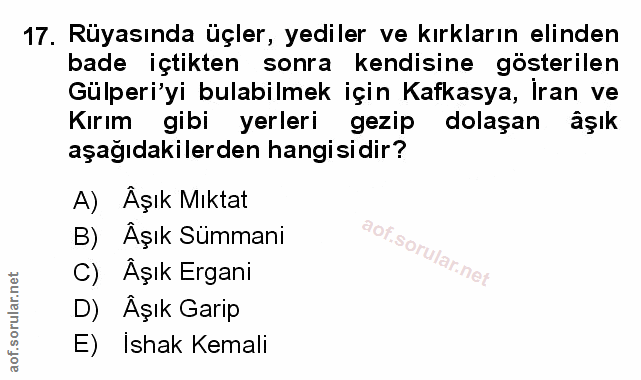 Soru 17