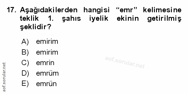 Soru 17