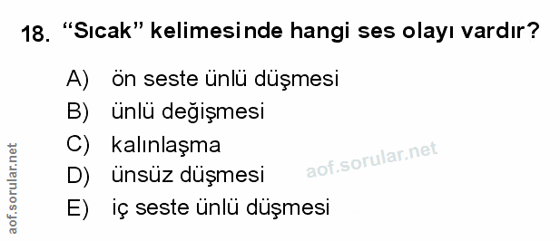 Soru 18