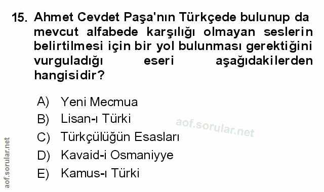 Soru 15