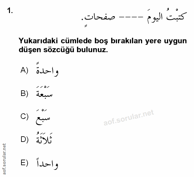Soru 1