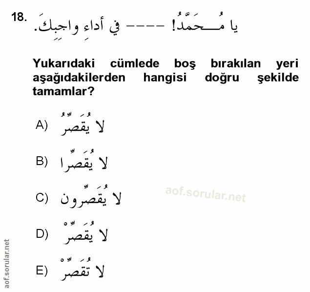 Soru 18