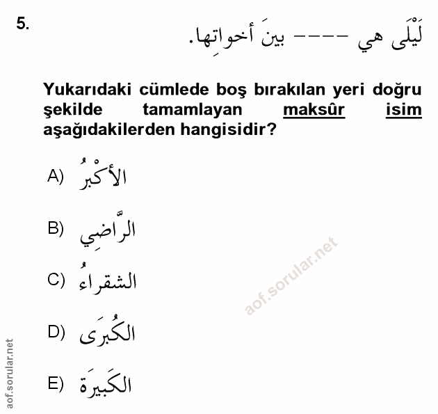 Soru 5