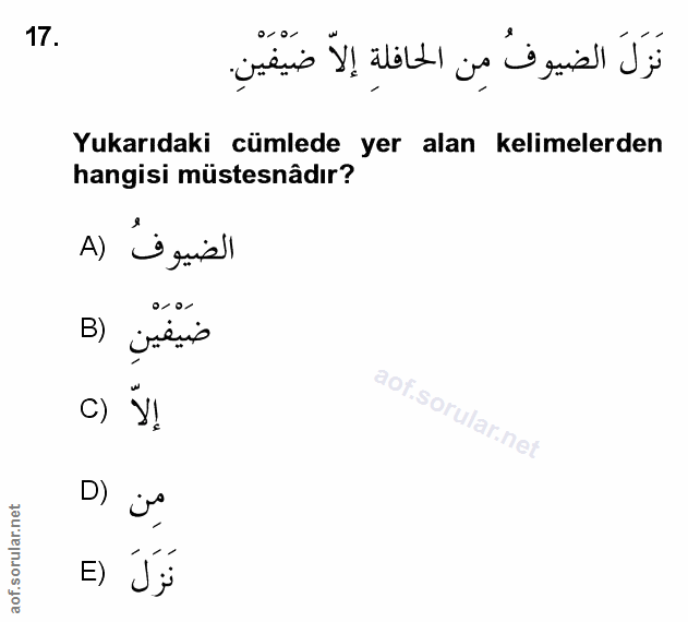 Soru 17