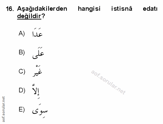 Soru 16