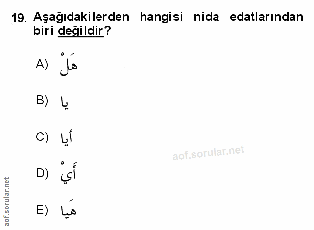 Soru 19
