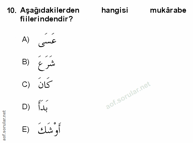 Soru 10