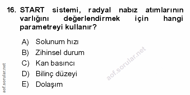 Soru 16