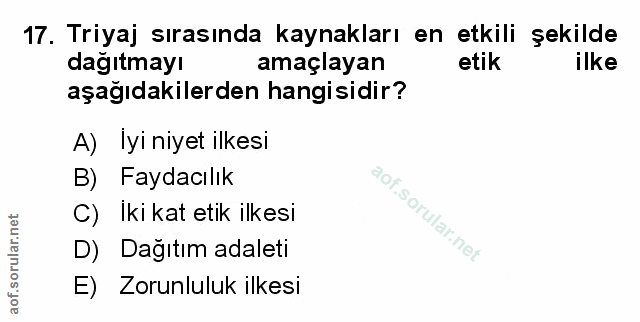 Soru 17