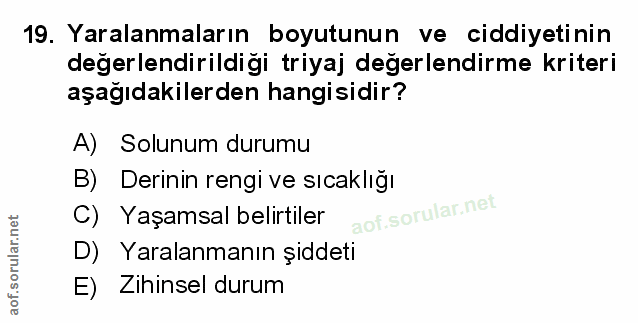Soru 19