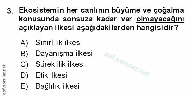 Soru 3