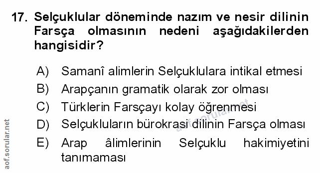 Soru 17