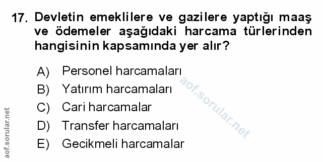 Soru 17