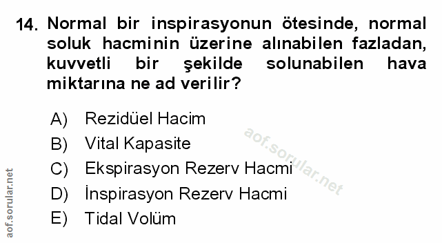 Soru 14