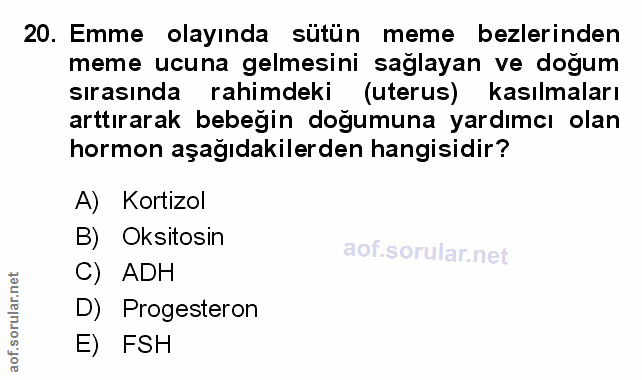 Soru 20