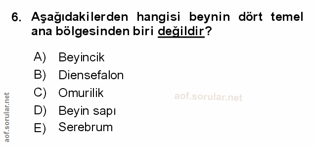 Soru 6
