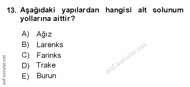 Soru 13